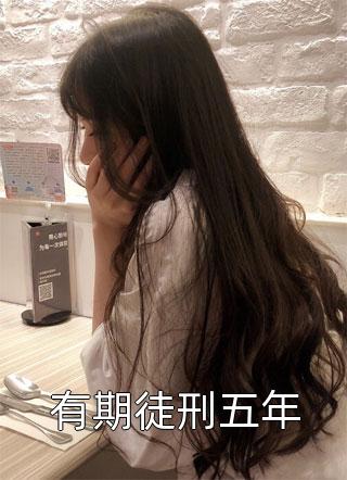 首辅大人的宠妾