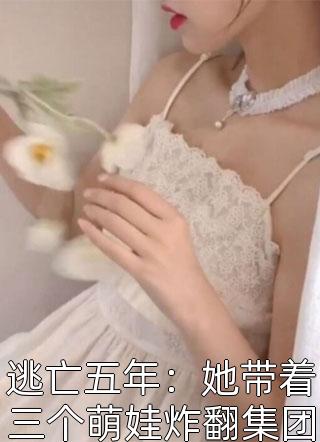 二婚临门：陆少的小心肝畅读全文版